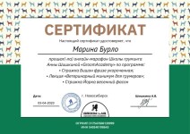 Диплом / сертификат №5 — Бурло Марина Александровна