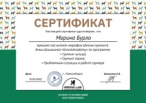 Диплом / сертификат №6 — Бурло Марина Александровна