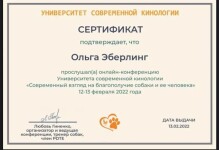 Диплом / сертификат №10 — Эберлинг Ольга Алексеевна