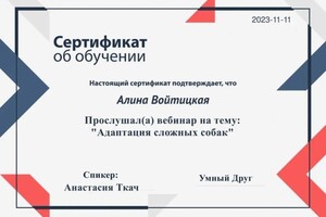 Диплом / сертификат №4 — Войтицкая Алина Викторовна
