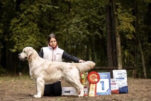 Диплом / сертификат №4 — Радостева Софья Борисовна