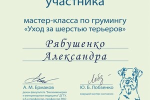 Диплом / сертификат №4 — Александра Р