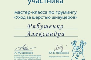 Диплом / сертификат №5 — Александра Р