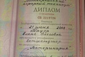 Бауэр Елена Олеговна — Диплом / сертификат №1