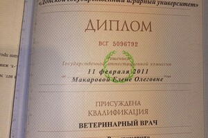 Бауэр Елена Олеговна — Диплом / сертификат №2