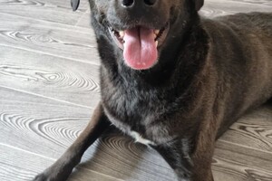 Беспалова Ярослава Игоревна — Портфолио №10