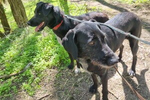 Беспалова Ярослава Игоревна — Портфолио №11