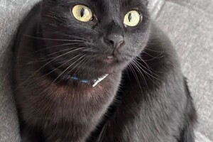 Беспалова Ярослава Игоревна — Портфолио №12