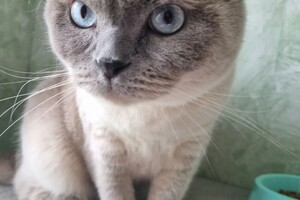 Беспалова Ярослава Игоревна — Портфолио №13