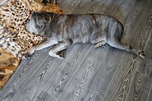 Беспалова Ярослава Игоревна — Портфолио №16