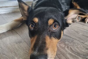 Беспалова Ярослава Игоревна — Портфолио №17