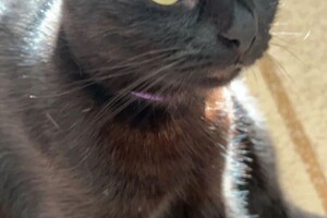 Беспалова Ярослава Игоревна — Портфолио №18