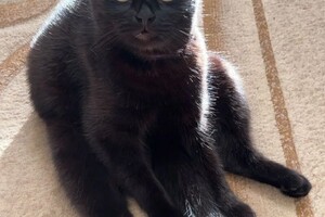 Беспалова Ярослава Игоревна — Портфолио №19