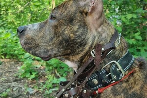 Беспалова Ярослава Игоревна — Портфолио №20