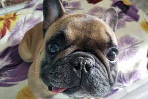 Беспалова Ярослава Игоревна — Портфолио №21