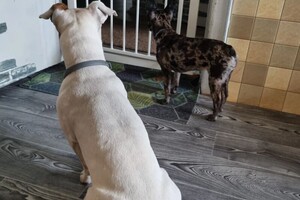 Беспалова Ярослава Игоревна — Портфолио №22