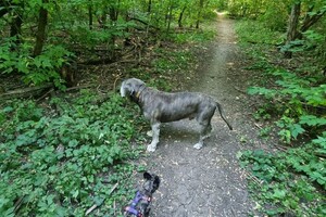 Беспалова Ярослава Игоревна — Портфолио №23