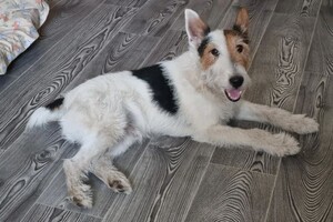 Беспалова Ярослава Игоревна — Портфолио №25