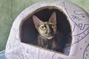 Беспалова Ярослава Игоревна — Портфолио №26