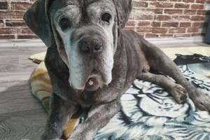 Беспалова Ярослава Игоревна — Портфолио №27