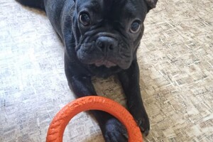 Беспалова Ярослава Игоревна — Портфолио №29