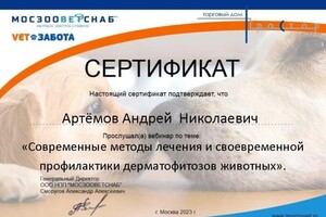 Диплом / сертификат №17 — дом Ветеринар на