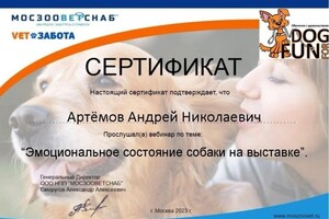 Диплом / сертификат №21 — дом Ветеринар на