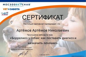 Диплом / сертификат №26 — дом Ветеринар на