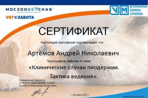 Диплом / сертификат №32 — дом Ветеринар на