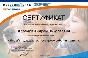 Диплом / сертификат №36 — дом Ветеринар на