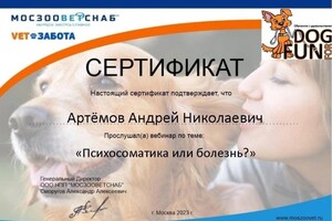 Диплом / сертификат №57 — дом Ветеринар на