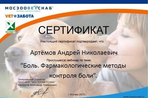 Диплом / сертификат №6 — дом Ветеринар на