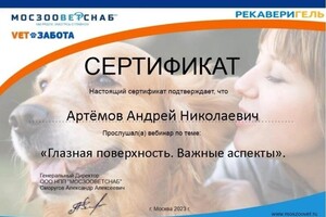 Диплом / сертификат №7 — дом Ветеринар на