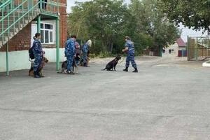 Общий курс дрессировки — Дворникова Анастасия Алексеевна