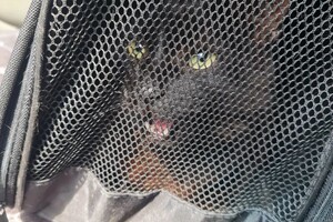 Иванов Вадим Александрович — Портфолио №5