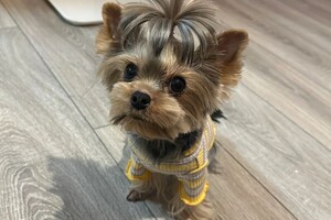 Коимчиди Анна Вадимовна — Портфолио №12