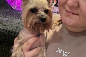 Коимчиди Анна Вадимовна — Портфолио №5