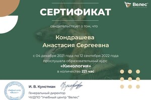 Диплом / сертификат №1 — Кондрашева Анастасия Сергеевна