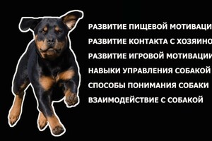 Краснопир Андрей Валентинович — Портфолио №7