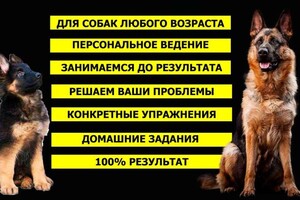 Краснопир Андрей Валентинович — Портфолио №8