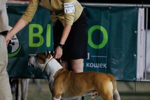 Кудинова Полина Рафаиловна — Портфолио №1