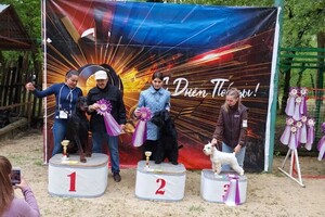 Кудинова Полина Рафаиловна — Портфолио №8