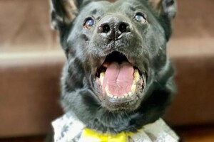 Максимова Виктория Олеговна — Портфолио №3