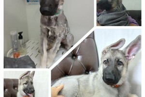 Максимова Виктория Олеговна — Гигиена — Портфолио №7