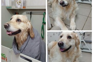 Максимова Виктория Олеговна — Полный комплекс — Портфолио №8