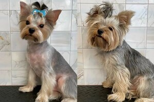 Мосенко Анита Валерьевна — Портфолио №73