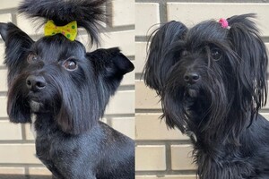 Мосенко Анита Валерьевна — Портфолио №75