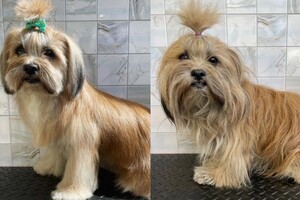 Мосенко Анита Валерьевна — Портфолио №77