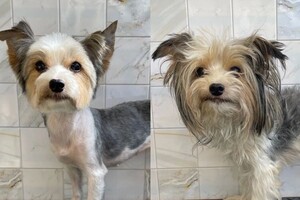 Мосенко Анита Валерьевна — Портфолио №81