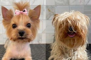 Мосенко Анита Валерьевна — Портфолио №82